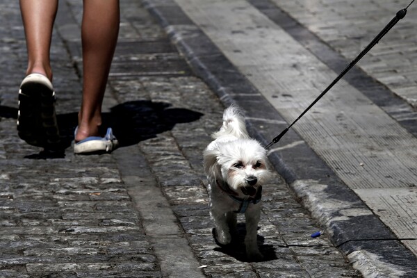 Νέοι πεζόδρομοι από το Σάββατο στο Εμπορικό Τρίγωνο της Αθήνας