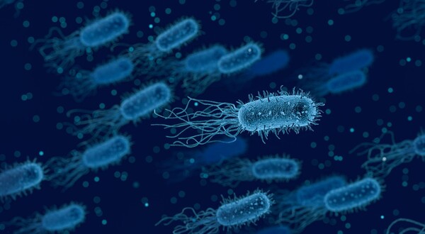 Ανακαλύφθηκαν 2.000 νέα είδη βακτηρίων στο ανθρώπινο έντερο