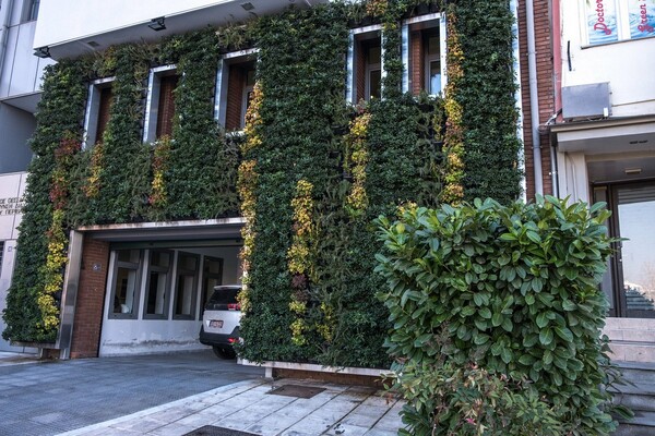 Στη Θεσσαλονίκη ο πρώτος κάθετος κήπος σε δημόσιο κτίριο της Ελλάδας