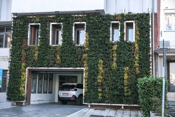 Στη Θεσσαλονίκη ο πρώτος κάθετος κήπος σε δημόσιο κτίριο της Ελλάδας