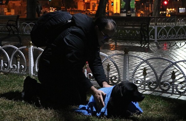 Ένας οδοντίατρος και η παρέα του σκεπάζουν κάθε βράδυ με κουβέρτες τα αδέσποτα της Κωνσταντινούπολης