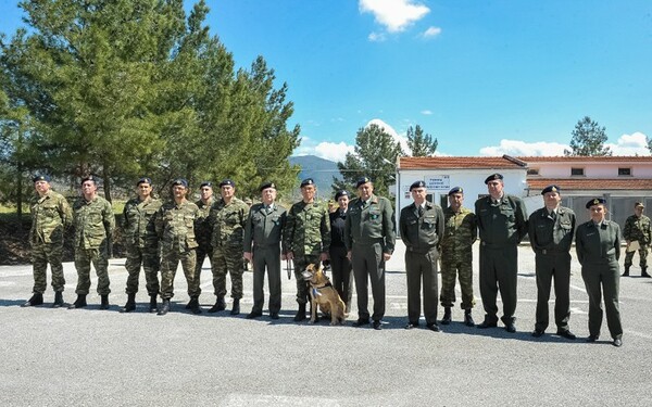 Οι Ένοπλες Δυνάμεις βράβευσαν σκυλίτσα που γέννησε 43 επίλεκτα κουτάβια (φωτογραφίες)