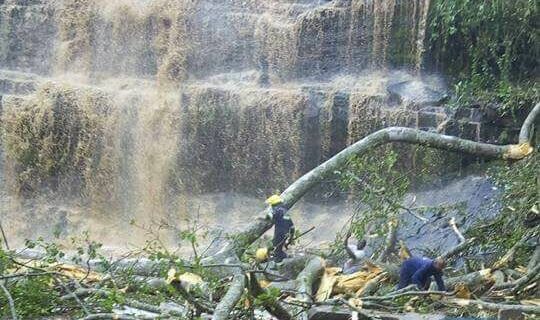 Γκάνα: Τουλάχιστον 18 εκδρομείς νεκροί από πτώση δέντρου μέσα σε λιμνούλα