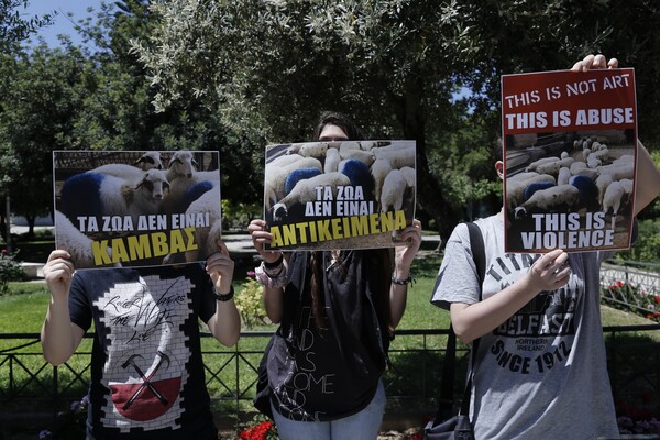 Διαμαρτυρία για τα μπλε πρόβατα στη Γεωπονική Σχολή Αθηνών (ΦΩΤΟΓΡΑΦΙΕΣ)