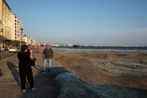 Θεσσαλονίκη: Απίστευτες φωτογραφίες από τον Θερμαϊκό Κόλπο- Το φαινόμενο του ευτροφισμού