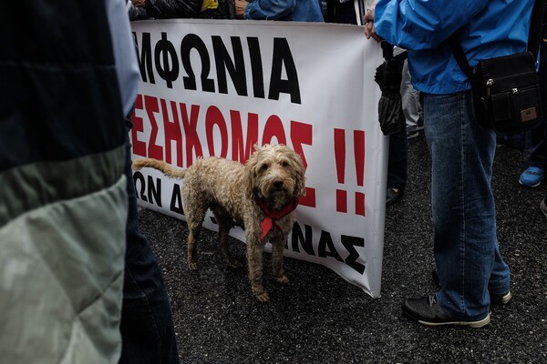 Σε εξέλιξη η πορεία των εργαζομένων- Φωτογραφίες από το συλλαλητήριο στο κέντρο της Αθήνας