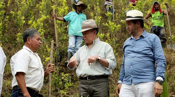 Μια μπανάνα αντί ενός φυτού κόκας-Η Κολομβία ξεκινά φιλόδοξη προσπάθεια να εξαλείψει τις φυτείες του ναρκωτικού