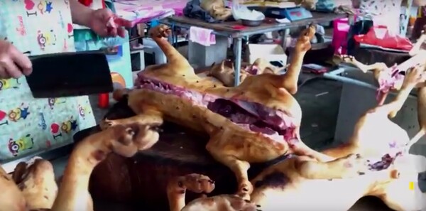 Συνεχίζεται η πώληση σκυλίσιου κρέατος στην Κίνα παρά τις απαγορεύσεις (Προσοχή! Το βίντεο περιέχει σκληρές εικόνες)