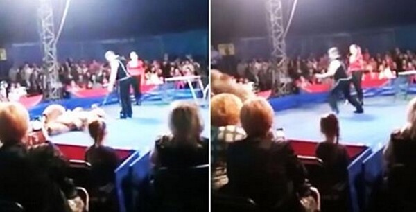 Πανικός σε τσίρκο στην Ουκρανία- Αρκούδα όρμηξε στους θεατές