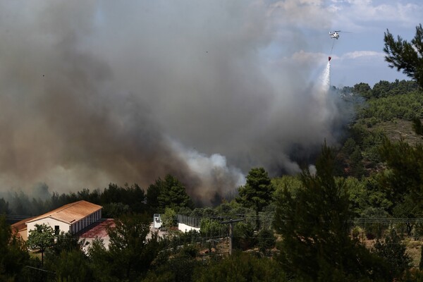 Βελτιωμένη εικόνα στην πυρκαγιά της ανατ. Αττικής - Δεν υπάρχουν ενεργά μέτωπα