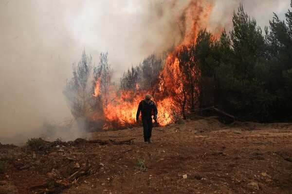 Βελτιωμένη εικόνα στην πυρκαγιά της ανατ. Αττικής - Δεν υπάρχουν ενεργά μέτωπα