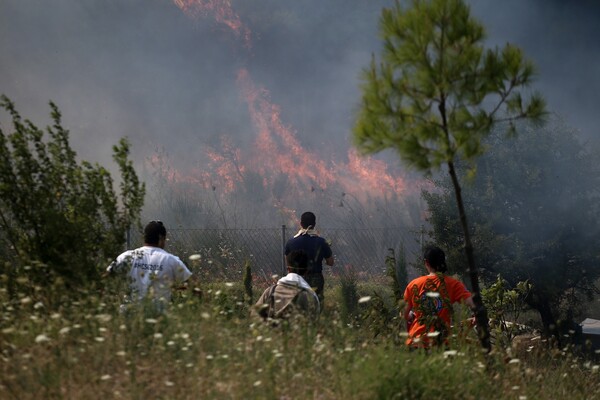 Τα μέτρα της κυβέρνησης για τους πληγέντες από τις πυρκαγιές