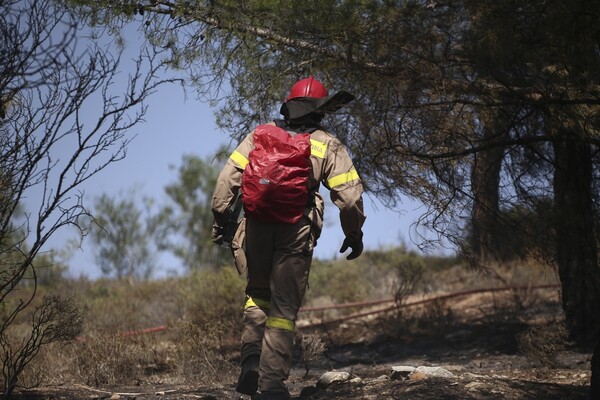 Πυροσβέστες καταγγέλλουν πως τους κατέβασαν από πλοίο στην Κεφαλονιά- Τι λένε σε επιστολή προς τον Τσίπρα