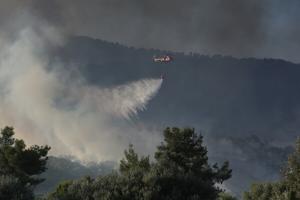 Μαίνεται η φωτιά στην Αμαλιάδα: Αρνούνται να φύγουν από τα σπίτια τους οι κάτοικοι (upd)