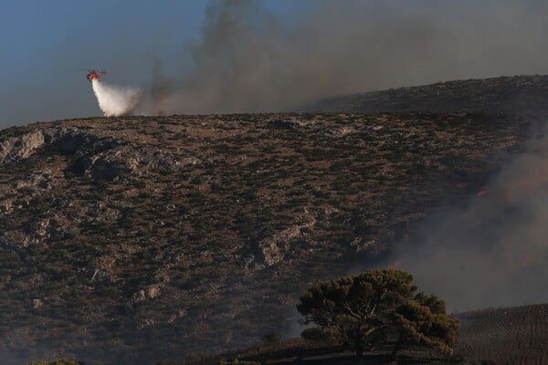 Φωτογραφίες από την πυρκαγιά στα Καλύβια Αττικής