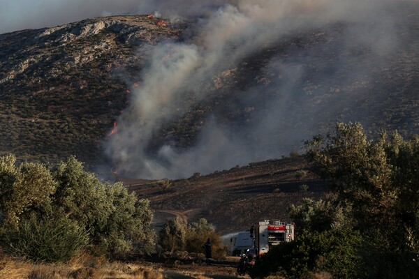 Φωτογραφίες από την πυρκαγιά στα Καλύβια Αττικής
