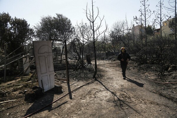 Οι πρώτες φωτογραφίες από την καταστροφική πυρκαγιά στην Ανάβυσσο