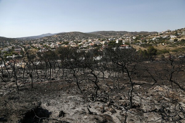 Οι πρώτες φωτογραφίες από την καταστροφική πυρκαγιά στην Ανάβυσσο