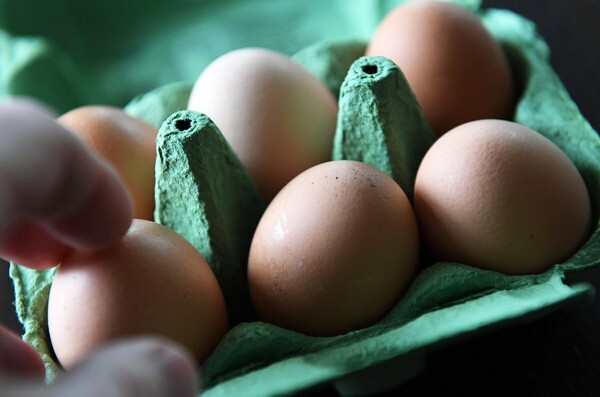 Προληπτική κατάσχεση αυγών στην Ιταλία εξαιτίας του σκανδάλου με το εντομοκτόνο