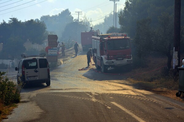 Φωτιά και στην Κέρκυρα- Πάνω από 14 πυρκαγιές στη Ζάκυνθο