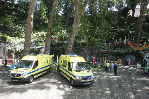 Πορτογαλία: Δέντρο καταπλάκωσε προσκυνητές σε θρησκευτική γιορτή- Τουλάχιστον 10 νεκροί, δεκάδες τραυματίες