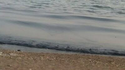 Μαύρισαν οι παραλίες της Σαλαμίνας από τη ρύπανση- Συγκλονιστικές φωτογραφίες