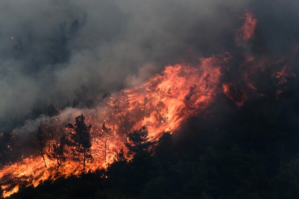 Χάρτης: Πολύ υψηλός ο κίνδυνος πυρκαγιάς αύριο σχεδόν στη μισή Ελλάδα