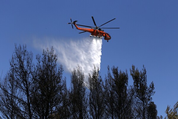 Πυρκαγιά σε δασική έκταση στην Κάρυστο - Μάχη με τις φλόγες δίνουν οι πυροσβέστες