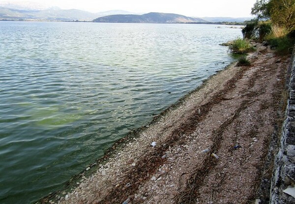 «Στεγνώνει» η λίμνη των Ιωαννίνων - Έπεσε πάνω από ένα μέτρο η στάθμη της
