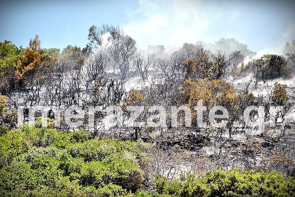 Σε ύφεση τα πύρινα μέτωπα στη Ζάκυνθο-Χιλιάδες στρέμματα δάσους έγιναν στάχτη