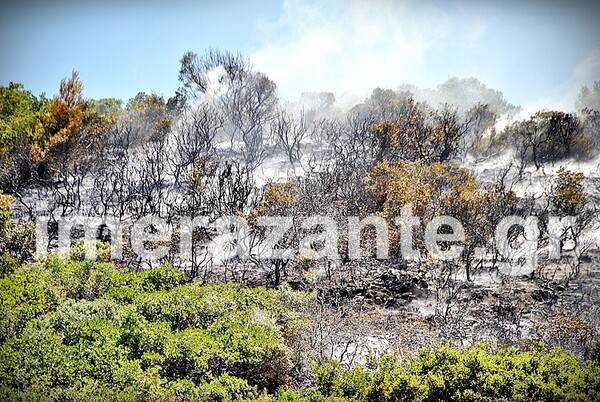 Σε ύφεση τα πύρινα μέτωπα στη Ζάκυνθο-Χιλιάδες στρέμματα δάσους έγιναν στάχτη