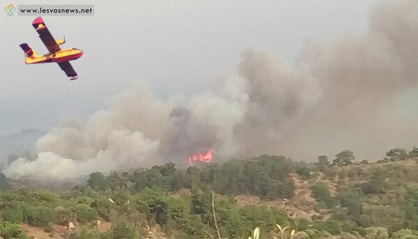Μυτιλήνη: Υπό έλεγχο τέθηκε η μεγάλη πυρκαγιά