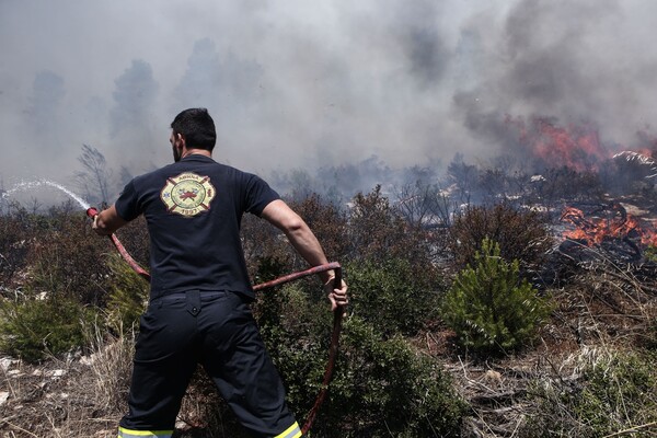 Κατάσβεση των πυρκαγιών σε Κιλελέρ και Φάρσαλα