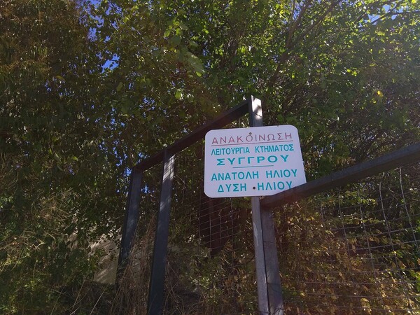 Βόλτα στο δάσος της πόλης