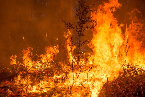 Πάνω από 100 πυρκαγιές μαίνονται στη βόρεια Ισπανία