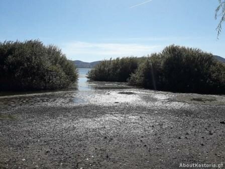 Προβληματίζει η υποχώρηση της στάθμης του νερού στη λίμνη της Καστοριάς-Τι λένε οι επιστήμονες