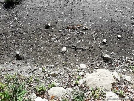 Προβληματίζει η υποχώρηση της στάθμης του νερού στη λίμνη της Καστοριάς-Τι λένε οι επιστήμονες