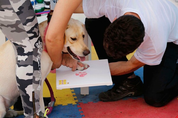 Το 4ο Run with your Dog πραγματοποιείται την Κυριακή 01/10 από τα Friskies®