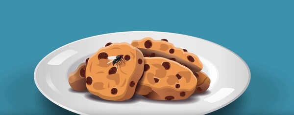 Τι ακριβώς συμβαίνει όταν κάθεται μια μύγα πάνω στο φαγητό μας;