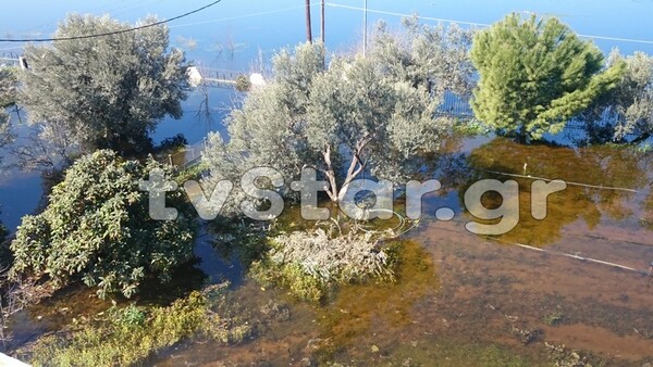 Σε κατάσταση έκτακτης ανάγκης η Χαλκίδα- Κάτοικοι εγκαταλείπουν τα σπίτια τους