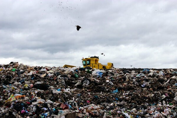 ΗΠΑ: Οι αετοί παίρνουν τα σκουπίδια από τη χωματερή και τα ρίχνουν πίσω στους κατοίκους