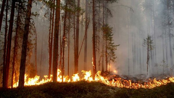 Η ξηρασία απειλεί την Ευρώπη πριν μπει το καλοκαίρι