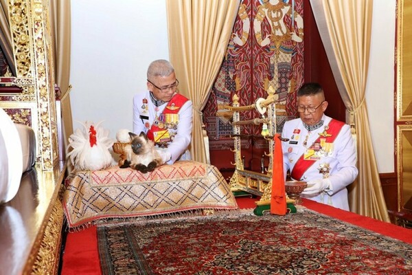 Ταϊλάνδη: Αληθινός ή ψεύτικος ο γάτος του βασιλιά;