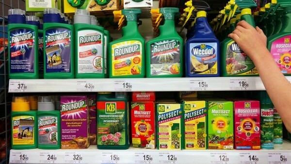 Απόφαση δικαστηρίου: To Roundup της Monsanto υπεύθυνο για τον καρκίνο άνδρα από την Καλιφόρνια