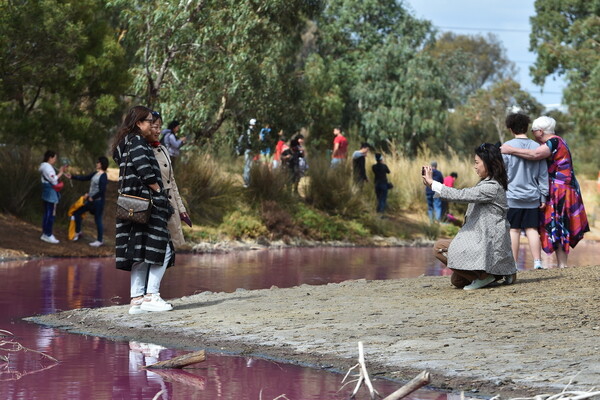 Μια ροζ λίμνη στη Μελβούρνη: Το εντυπωσιακό φυσικό φαινόμενο που μαγεύει τους επισκέπτες