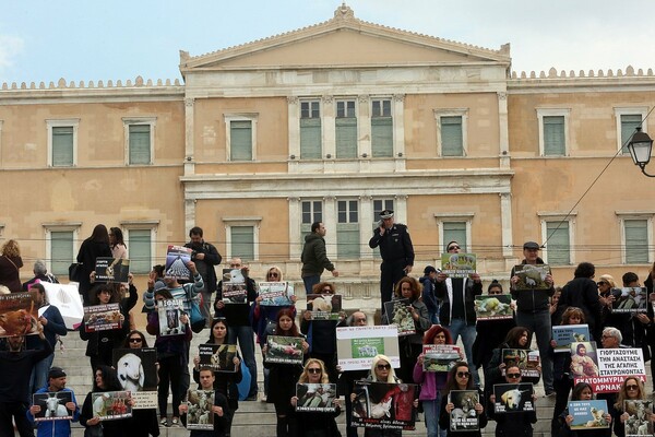 Μην σφάζετε αρνιά το Πάσχα - Η διαμαρτυρία των vegan στο κέντρο της Αθήνας