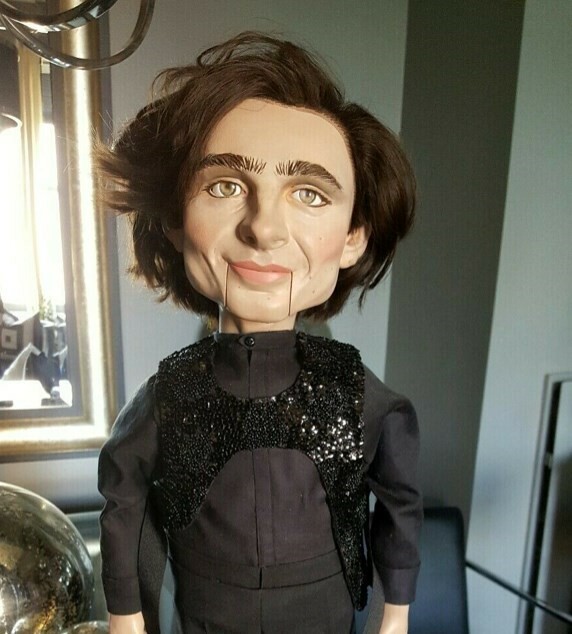 Αυτή η «τρομακτική» κούκλα του Timothée Chalamet πουλιέται στο eBay για 122.795 δολάρια