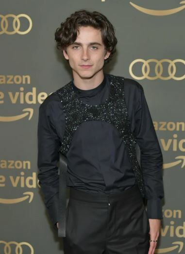 Αυτή η «τρομακτική» κούκλα του Timothée Chalamet πουλιέται στο eBay για 122.795 δολάρια