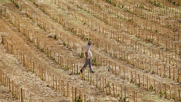 Η Ελλάδα κινδυνεύει να γίνει έρημος - Οι περιοχές που απειλούνται περισσότερο