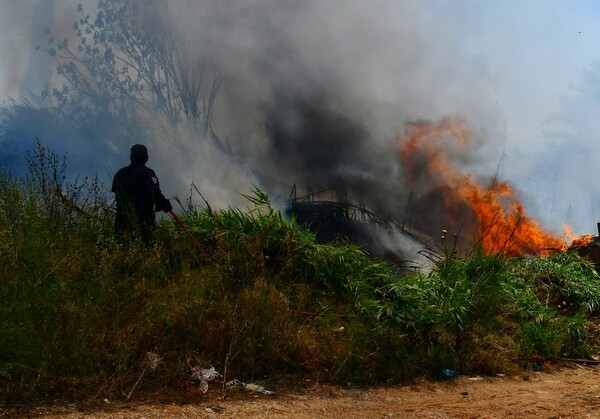 Φωτιά στον Ασπρόπυργο - 6 οχήματα και 15 πυροσβέστες στο σημείο